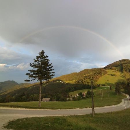Planinski dom Vrhe Hotell Trbovlje Exteriör bild