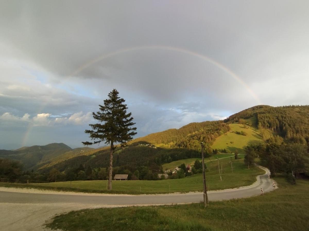 Planinski dom Vrhe Hotell Trbovlje Exteriör bild