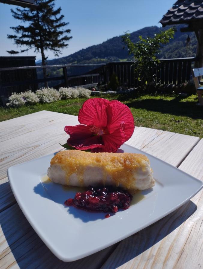 Planinski dom Vrhe Hotell Trbovlje Exteriör bild